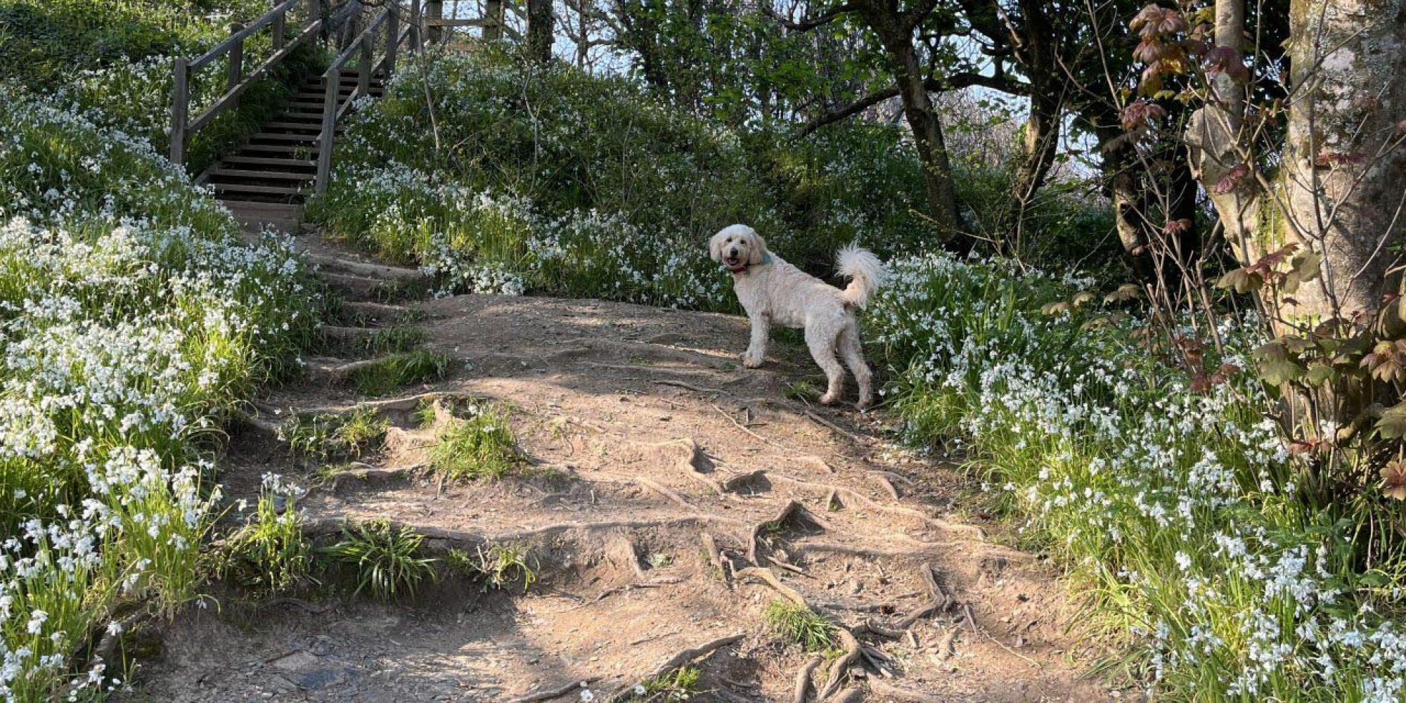 _Spring Awakening-min